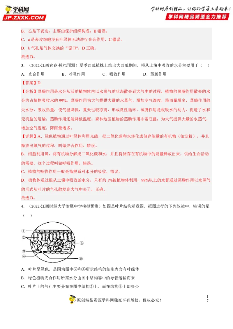 专题05绿色植物的蒸腾作用、光合作用和呼吸作用（习题帮）（解析版）_6生物中考复习_2023年中考复习资料_一轮复习_备战2023年中考生物一轮复习考点帮（全国通用）288506454