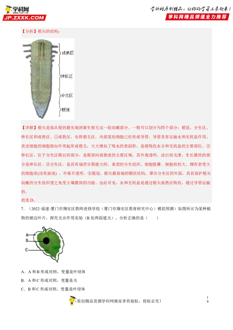 专题05绿色植物的蒸腾作用、光合作用和呼吸作用（习题帮）（解析版）_6生物中考复习_2023年中考复习资料_一轮复习_备战2023年中考生物一轮复习考点帮（全国通用）288506454