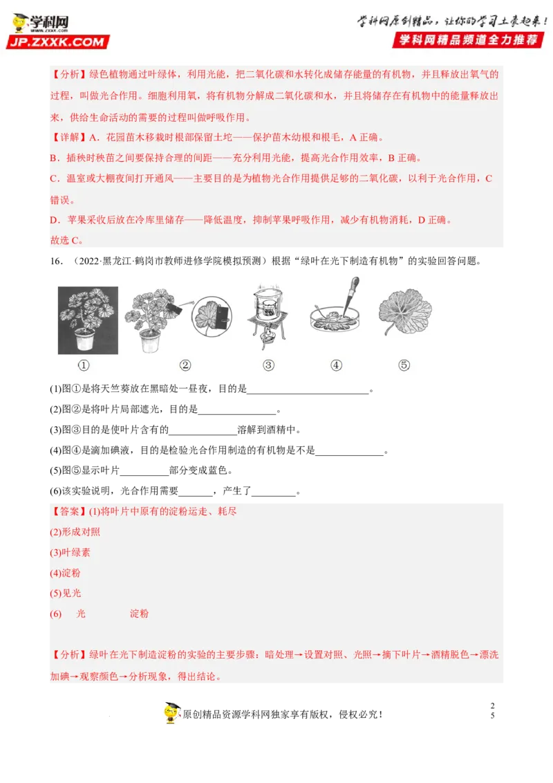 专题05绿色植物的蒸腾作用、光合作用和呼吸作用（习题帮）（解析版）_6生物中考复习_2023年中考复习资料_一轮复习_备战2023年中考生物一轮复习考点帮（全国通用）288506454