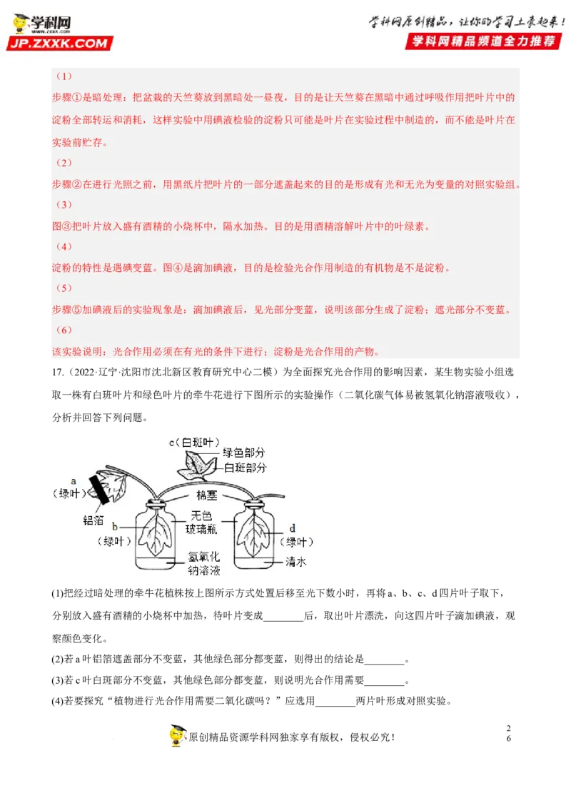 专题05绿色植物的蒸腾作用、光合作用和呼吸作用（习题帮）（解析版）_6生物中考复习_2023年中考复习资料_一轮复习_备战2023年中考生物一轮复习考点帮（全国通用）288506454