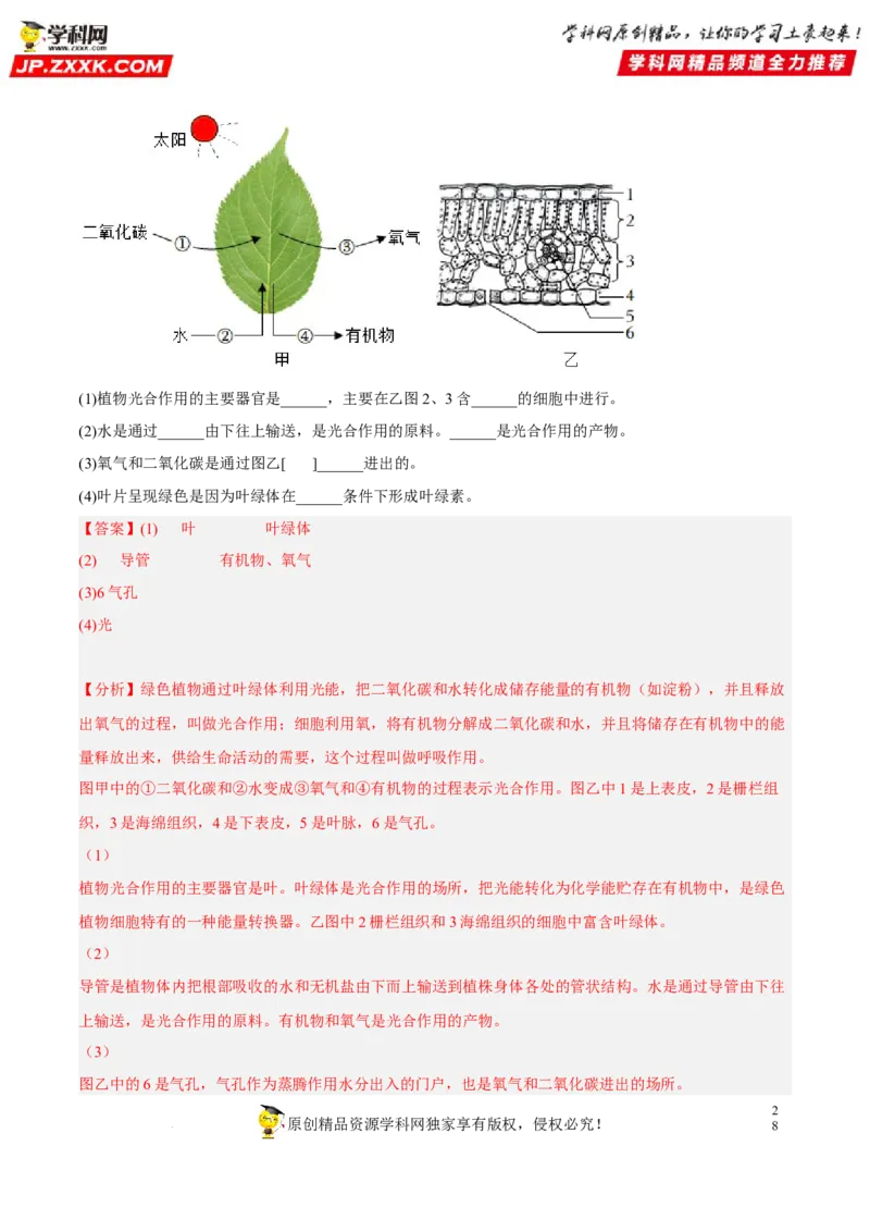 专题05绿色植物的蒸腾作用、光合作用和呼吸作用（习题帮）（解析版）_6生物中考复习_2023年中考复习资料_一轮复习_备战2023年中考生物一轮复习考点帮（全国通用）288506454