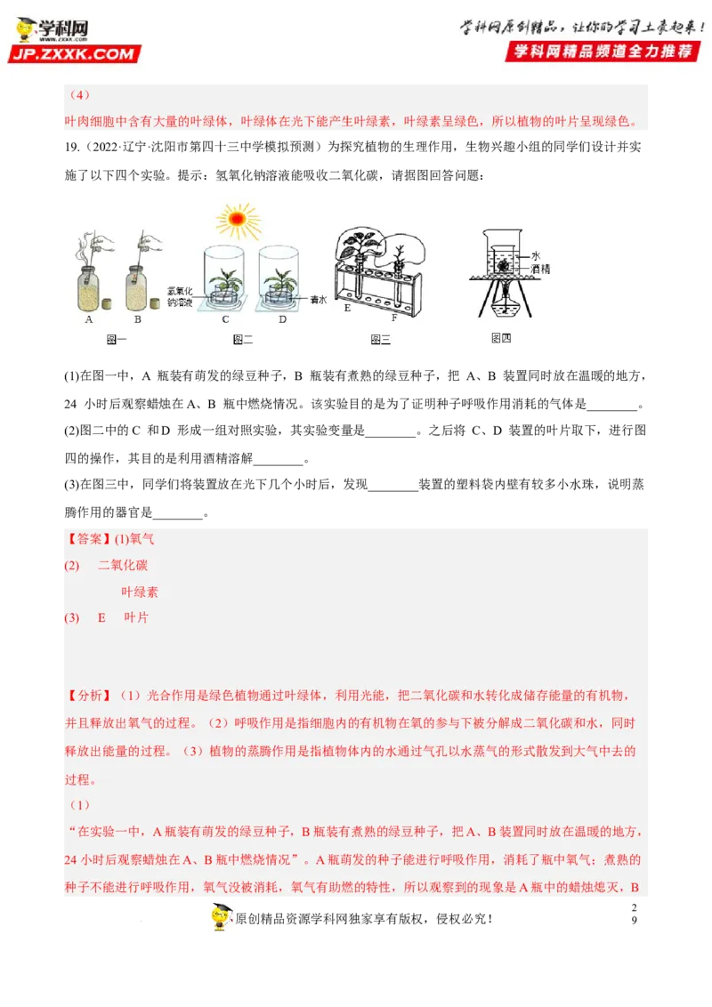 专题05绿色植物的蒸腾作用、光合作用和呼吸作用（习题帮）（解析版）_6生物中考复习_2023年中考复习资料_一轮复习_备战2023年中考生物一轮复习考点帮（全国通用）288506454