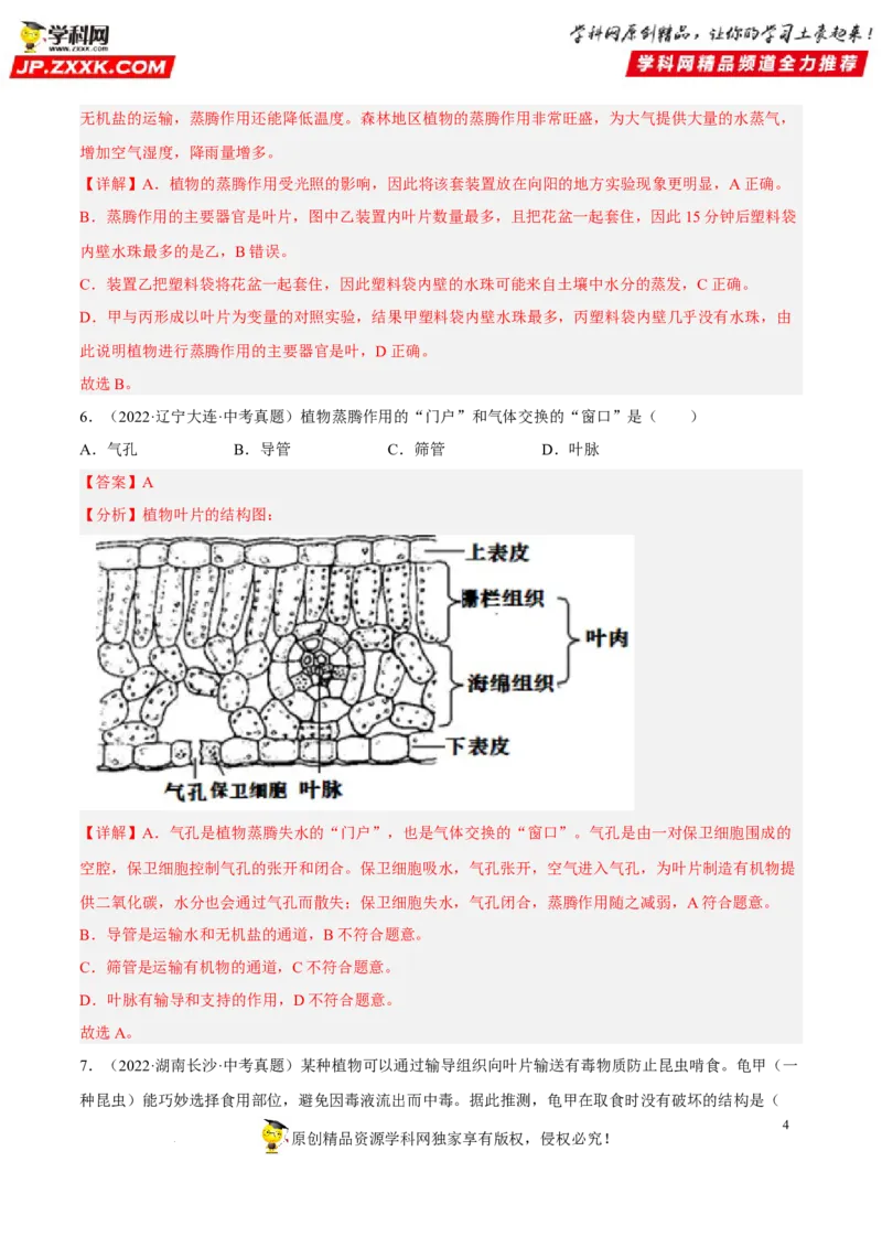 专题05绿色植物的蒸腾作用、光合作用和呼吸作用（习题帮）（解析版）_6生物中考复习_2023年中考复习资料_一轮复习_备战2023年中考生物一轮复习考点帮（全国通用）288506454