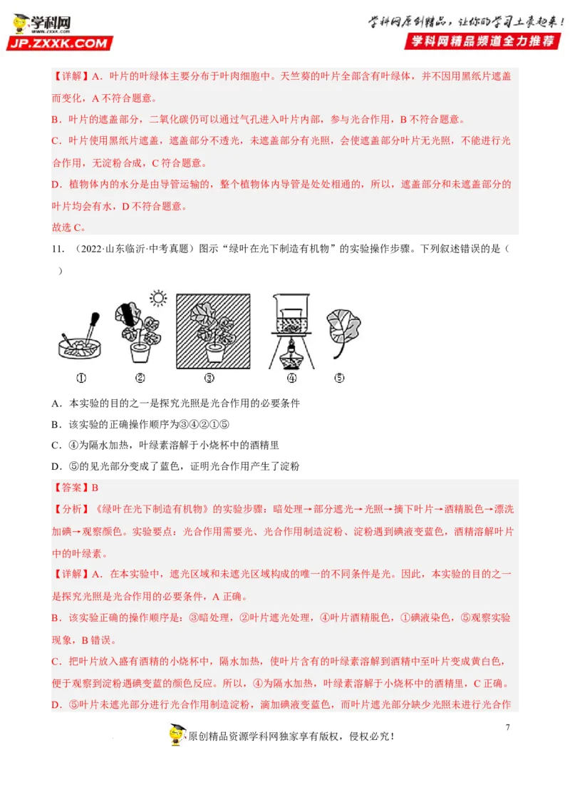 专题05绿色植物的蒸腾作用、光合作用和呼吸作用（习题帮）（解析版）_6生物中考复习_2023年中考复习资料_一轮复习_备战2023年中考生物一轮复习考点帮（全国通用）288506454