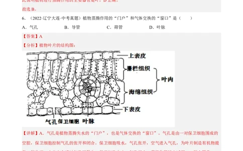 专题05绿色植物的蒸腾作用、光合作用和呼吸作用（习题帮）（解析版）_6生物中考复习_2023年中考复习资料_一轮复习_备战2023年中考生物一轮复习考点帮（全国通用）288506454