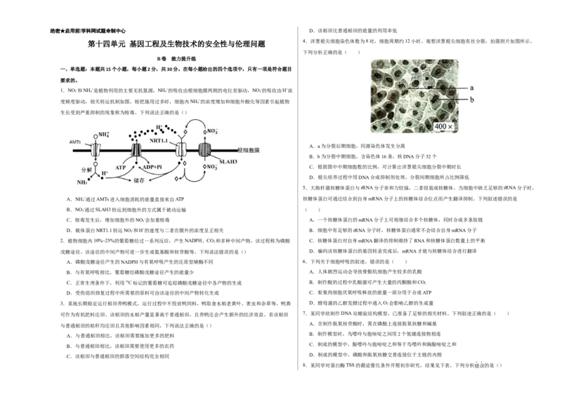 第十四单元基因工程及生物技术的安全性与伦理问题（B卷能力提升练）-2023年高考生物一轮复习单元滚动双测卷（新高考专用）（考试版）_新高考复习资料_2023年新高考复习资料