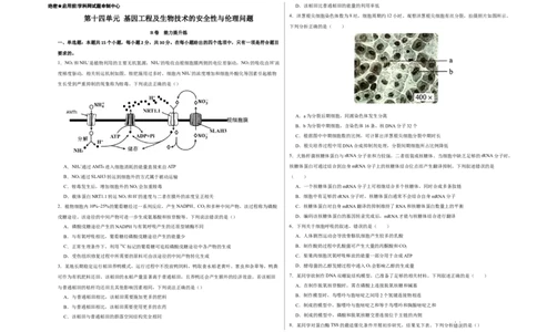 第十四单元基因工程及生物技术的安全性与伦理问题（B卷能力提升练）-2023年高考生物一轮复习单元滚动双测卷（新高考专用）（考试版）_新高考复习资料_2023年新高考复习资料