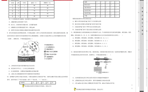第十四单元基因工程及生物技术的安全性与伦理问题（B卷能力提升练）-2023年高考生物一轮复习单元滚动双测卷（新高考专用）（考试版）_新高考复习资料_2023年新高考复习资料