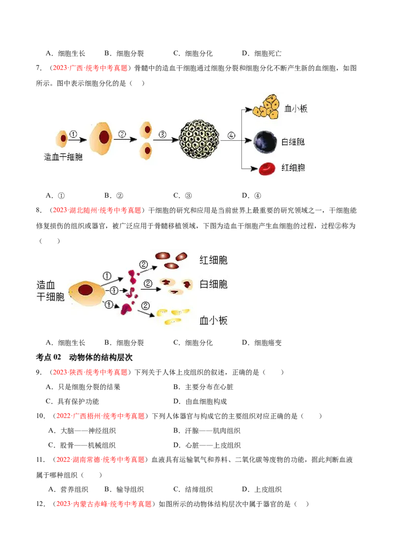 专题03细胞怎样构成生物体（原卷版）_6生物中考复习_2024年中考复习资料_一轮复习资料_❤备战2024年中考生物一轮复习考点帮（全国通用）_配套练习（原卷版+解析版）