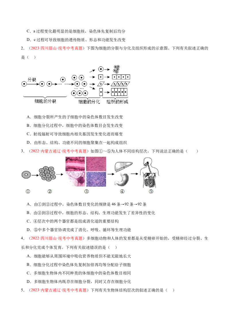 专题03细胞怎样构成生物体（原卷版）_6生物中考复习_2024年中考复习资料_一轮复习资料_❤备战2024年中考生物一轮复习考点帮（全国通用）_配套练习（原卷版+解析版）
