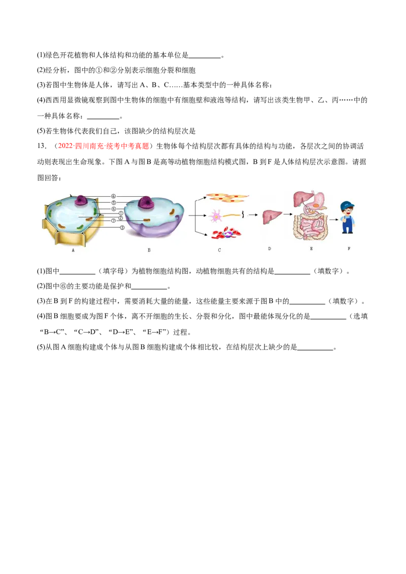 专题03细胞怎样构成生物体（原卷版）_6生物中考复习_2024年中考复习资料_一轮复习资料_❤备战2024年中考生物一轮复习考点帮（全国通用）_配套练习（原卷版+解析版）