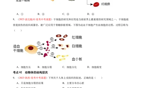 专题03细胞怎样构成生物体（原卷版）_6生物中考复习_2024年中考复习资料_一轮复习资料_❤备战2024年中考生物一轮复习考点帮（全国通用）_配套练习（原卷版+解析版）
