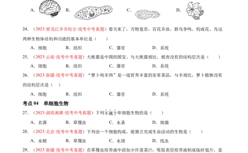 专题03细胞怎样构成生物体（原卷版）_6生物中考复习_2024年中考复习资料_一轮复习资料_❤备战2024年中考生物一轮复习考点帮（全国通用）_配套练习（原卷版+解析版）