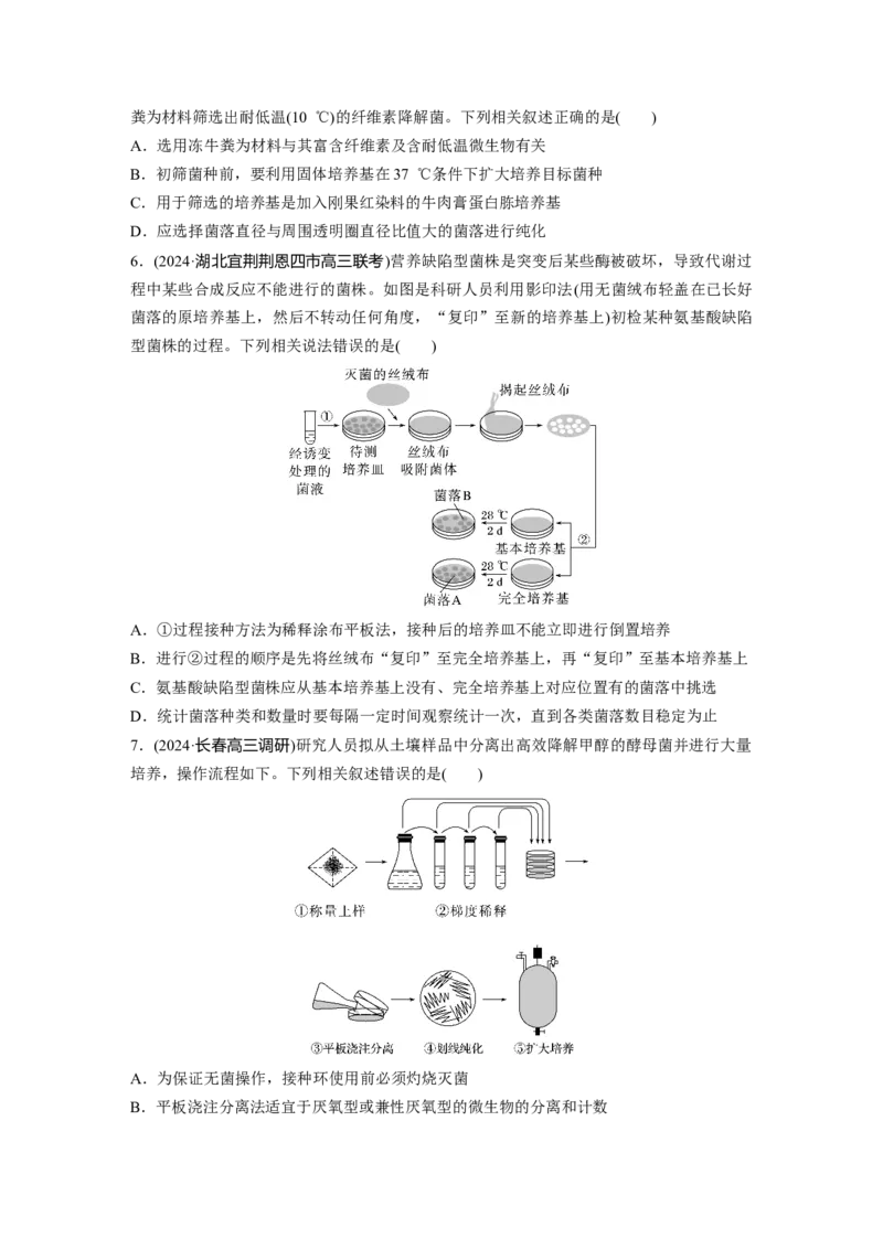 第十单元　课时练57　微生物的培养技术与应用_2025年新高考资料_一轮复习_2025大一轮复习讲义+课件（完结）_2025大一轮复习讲义生物学生用书Word版文档整书_2025一轮复习73练