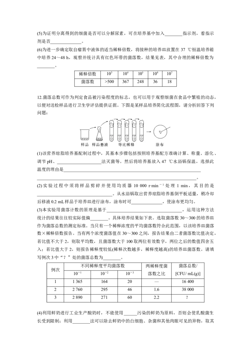 第十单元　课时练57　微生物的培养技术与应用_2025年新高考资料_一轮复习_2025大一轮复习讲义+课件（完结）_2025大一轮复习讲义生物学生用书Word版文档整书_2025一轮复习73练