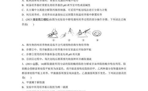 第十单元　课时练57　微生物的培养技术与应用_2025年新高考资料_一轮复习_2025大一轮复习讲义+课件（完结）_2025大一轮复习讲义生物学生用书Word版文档整书_2025一轮复习73练