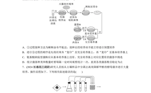 第十单元　课时练57　微生物的培养技术与应用_2025年新高考资料_一轮复习_2025大一轮复习讲义+课件（完结）_2025大一轮复习讲义生物学生用书Word版文档整书_2025一轮复习73练