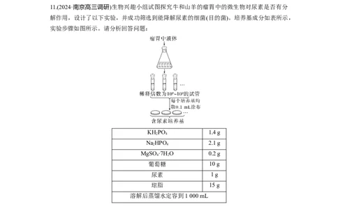 第十单元　课时练57　微生物的培养技术与应用_2025年新高考资料_一轮复习_2025大一轮复习讲义+课件（完结）_2025大一轮复习讲义生物学生用书Word版文档整书_2025一轮复习73练