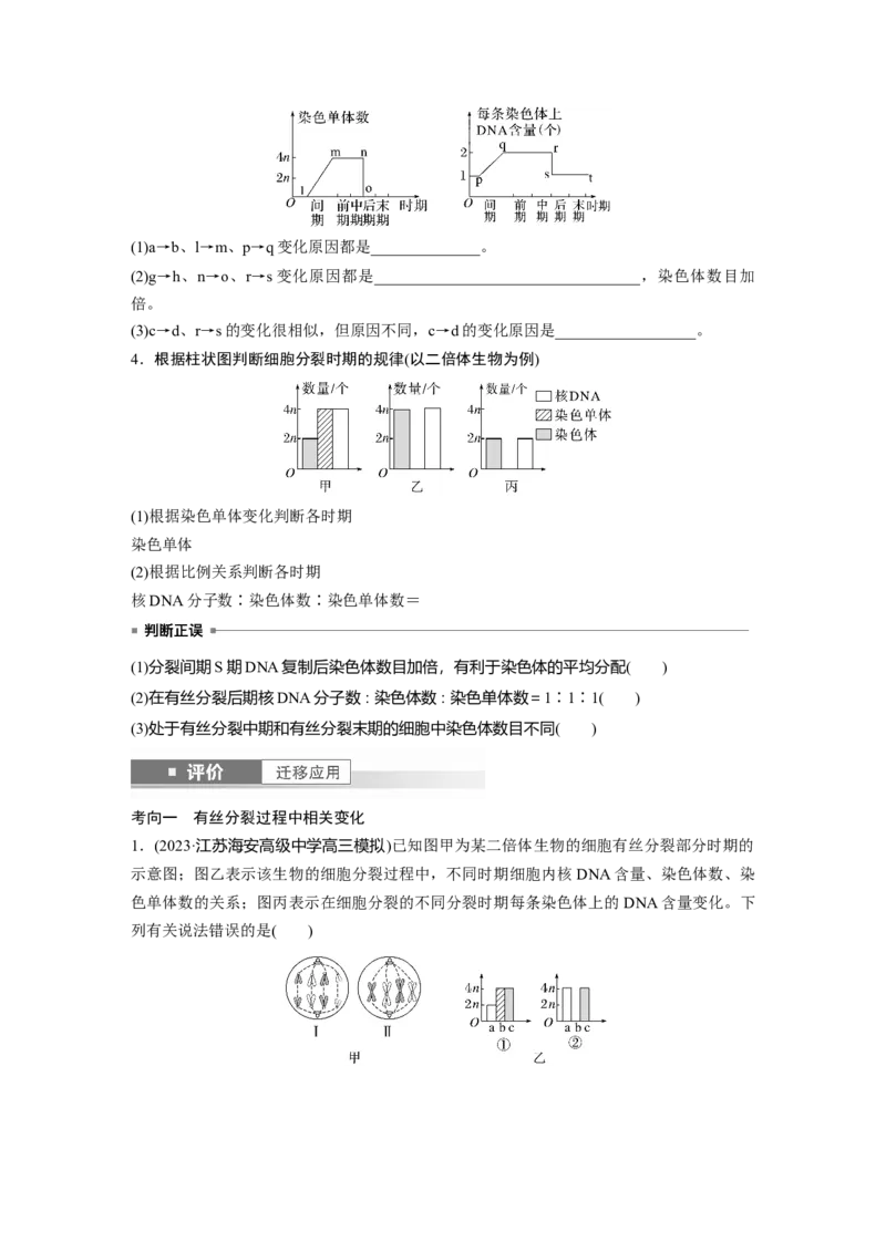 第四单元　第20课时　有丝分裂过程中相关变化及观察实验_2025年新高考资料_一轮复习_2025大一轮复习讲义+课件（完结）_2025大一轮复习讲义生物学生用书Word版文档整书