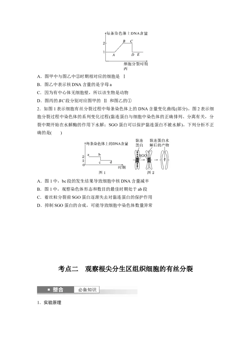 第四单元　第20课时　有丝分裂过程中相关变化及观察实验_2025年新高考资料_一轮复习_2025大一轮复习讲义+课件（完结）_2025大一轮复习讲义生物学生用书Word版文档整书