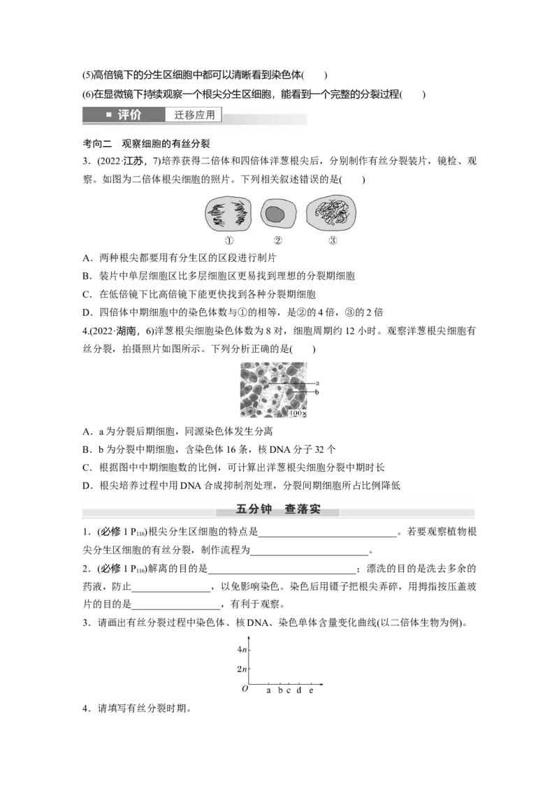 第四单元　第20课时　有丝分裂过程中相关变化及观察实验_2025年新高考资料_一轮复习_2025大一轮复习讲义+课件（完结）_2025大一轮复习讲义生物学生用书Word版文档整书