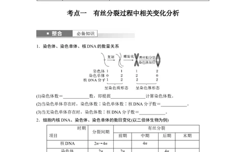 第四单元　第20课时　有丝分裂过程中相关变化及观察实验_2025年新高考资料_一轮复习_2025大一轮复习讲义+课件（完结）_2025大一轮复习讲义生物学生用书Word版文档整书