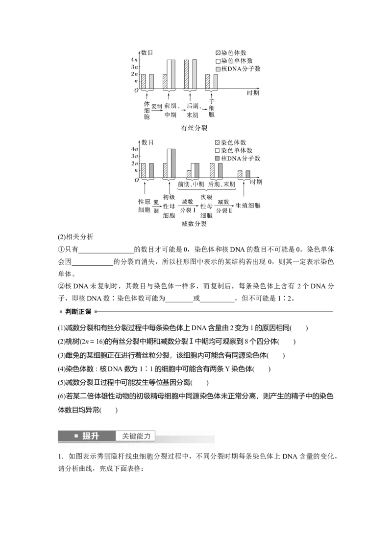 第四单元　第22课时　减数分裂与有丝分裂的比较及观察蝗虫精母细胞减数分裂装片_2025年新高考资料_一轮复习_2025大一轮复习讲义+课件（完结）_2025大一轮复习讲义
