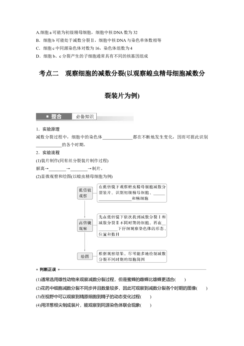 第四单元　第22课时　减数分裂与有丝分裂的比较及观察蝗虫精母细胞减数分裂装片_2025年新高考资料_一轮复习_2025大一轮复习讲义+课件（完结）_2025大一轮复习讲义