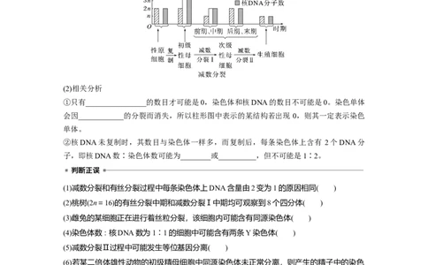 第四单元　第22课时　减数分裂与有丝分裂的比较及观察蝗虫精母细胞减数分裂装片_2025年新高考资料_一轮复习_2025大一轮复习讲义+课件（完结）_2025大一轮复习讲义