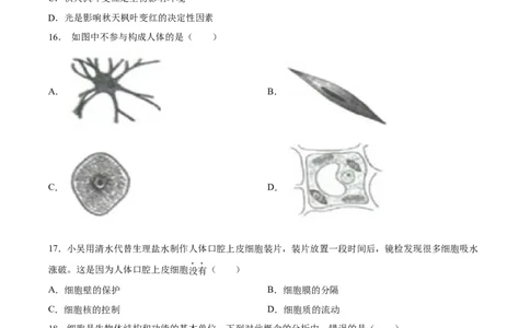 专题02细胞是生命活动的基本单位（原卷版）_6生物中考复习_2024年中考复习资料_一轮复习资料_省心备考2024年中考生物一轮复习精讲精练（全国通用）_配套练习（原卷版+解析版）