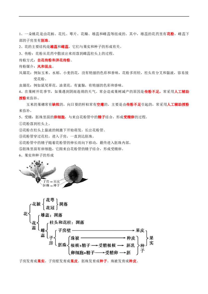 专题06被子植物的一生-2022年中考生物一轮复习抓重点考典型（人教版）（原卷版）_6生物中考复习_2023年中考复习资料_一轮复习_2022年中考生物一轮复习抓重点考典型（人教版）