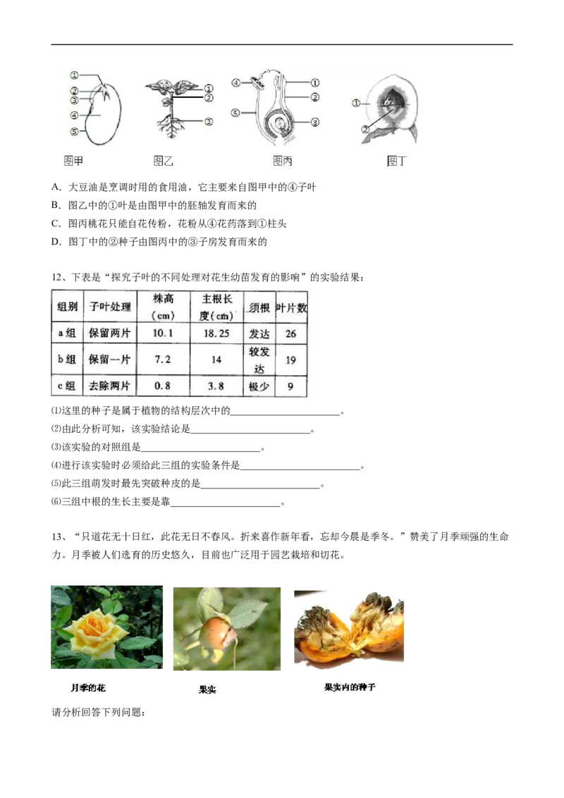 专题06被子植物的一生-2022年中考生物一轮复习抓重点考典型（人教版）（原卷版）_6生物中考复习_2023年中考复习资料_一轮复习_2022年中考生物一轮复习抓重点考典型（人教版）