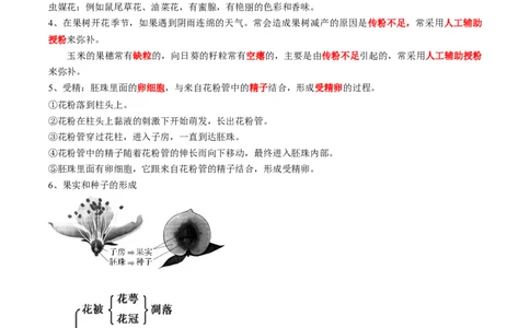 专题06被子植物的一生-2022年中考生物一轮复习抓重点考典型（人教版）（原卷版）_6生物中考复习_2023年中考复习资料_一轮复习_2022年中考生物一轮复习抓重点考典型（人教版）