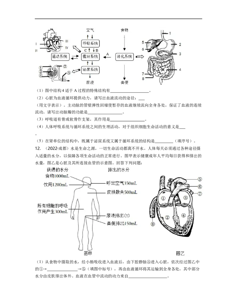 专题04生物圈中的人（二）背诵清单+跟踪训练（学生版）_6生物中考复习_2023年中考复习资料_一轮复习_2023年中考生物一轮大单元复习过过过（全国通用）