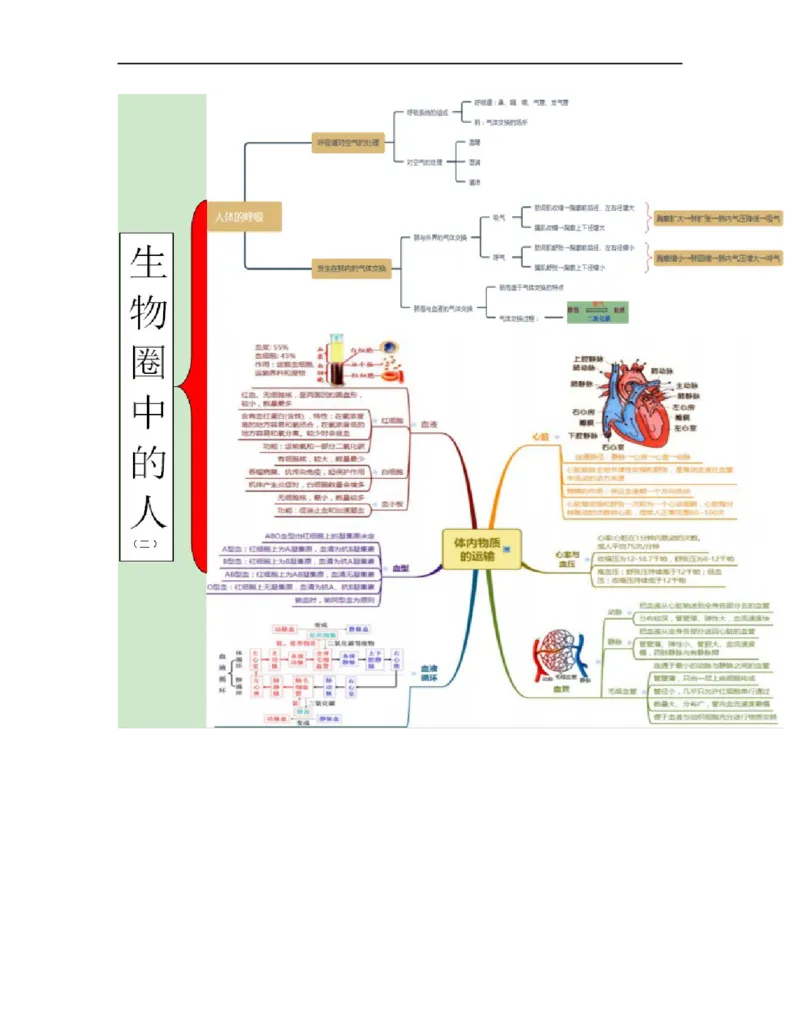 专题04生物圈中的人（二）背诵清单+跟踪训练（学生版）_6生物中考复习_2023年中考复习资料_一轮复习_2023年中考生物一轮大单元复习过过过（全国通用）