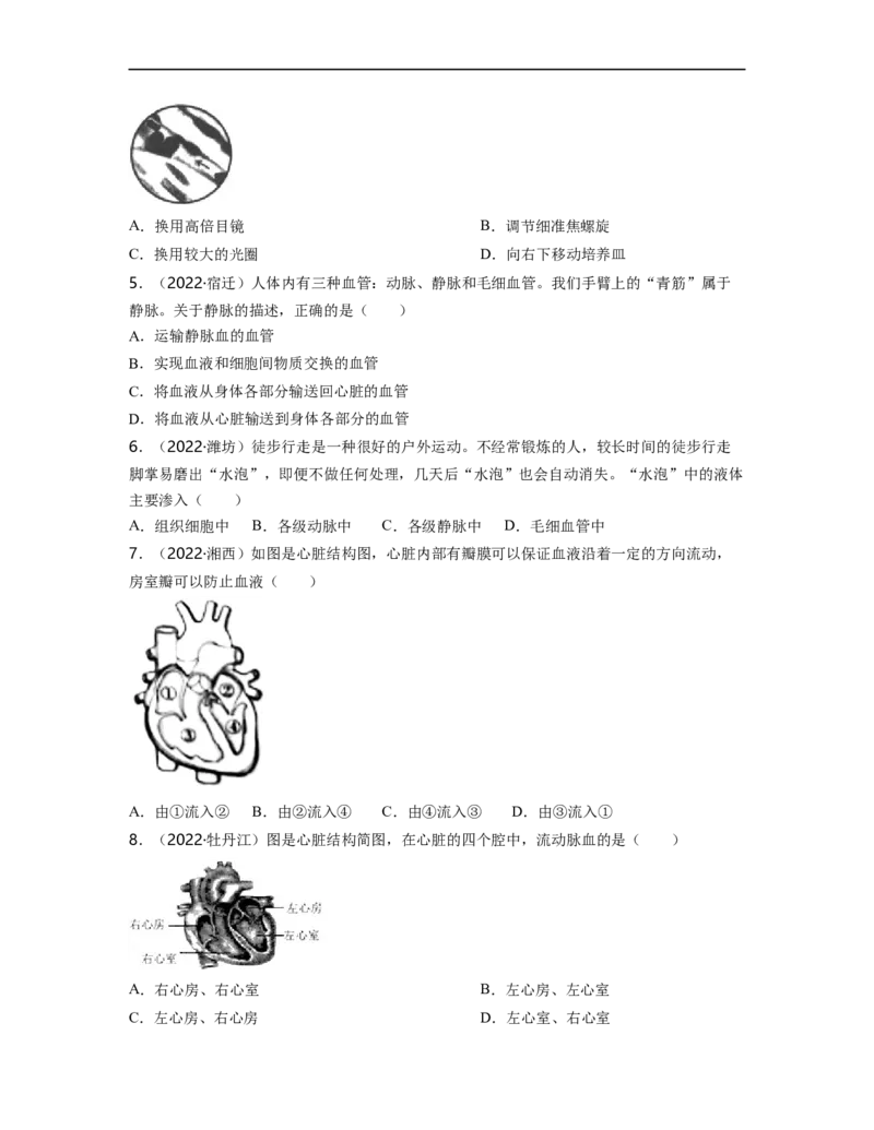 专题04生物圈中的人（二）背诵清单+跟踪训练（学生版）_6生物中考复习_2023年中考复习资料_一轮复习_2023年中考生物一轮大单元复习过过过（全国通用）