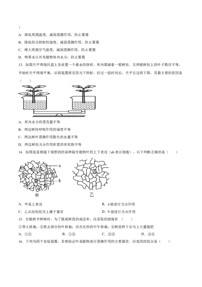 专题06绿色植物与生物圈中的水循环（习题精练）（原卷版）_6生物中考复习_2024年中考复习资料_一轮复习资料_省心备考2024年中考生物一轮复习精讲精练（全国通用）