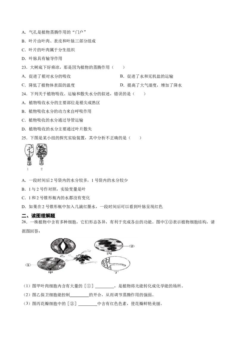 专题06绿色植物与生物圈中的水循环（习题精练）（原卷版）_6生物中考复习_2024年中考复习资料_一轮复习资料_省心备考2024年中考生物一轮复习精讲精练（全国通用）