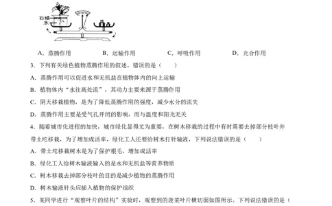 专题06绿色植物与生物圈中的水循环（习题精练）（原卷版）_6生物中考复习_2024年中考复习资料_一轮复习资料_省心备考2024年中考生物一轮复习精讲精练（全国通用）