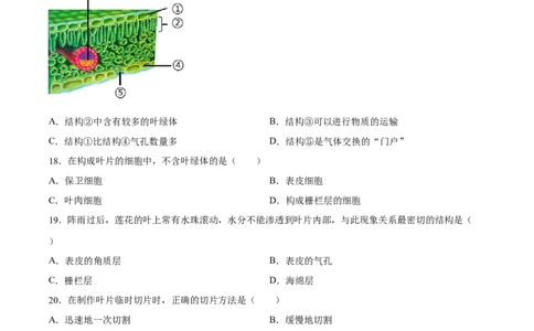 专题06绿色植物与生物圈中的水循环（习题精练）（原卷版）_6生物中考复习_2024年中考复习资料_一轮复习资料_省心备考2024年中考生物一轮复习精讲精练（全国通用）