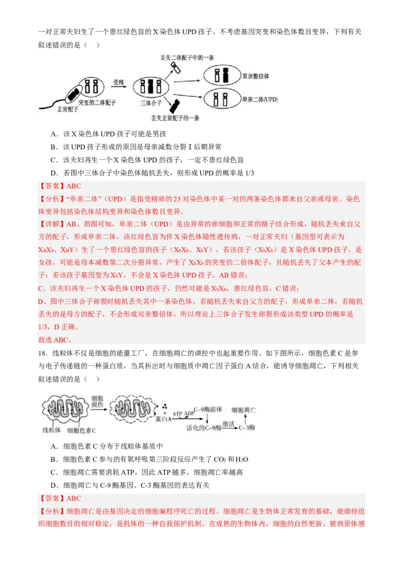 第四单元细胞的生命历程（测试）（解析版）_2025年新高考资料_一轮复习_2025年高考生物一轮复习讲练测（新教材新高考）