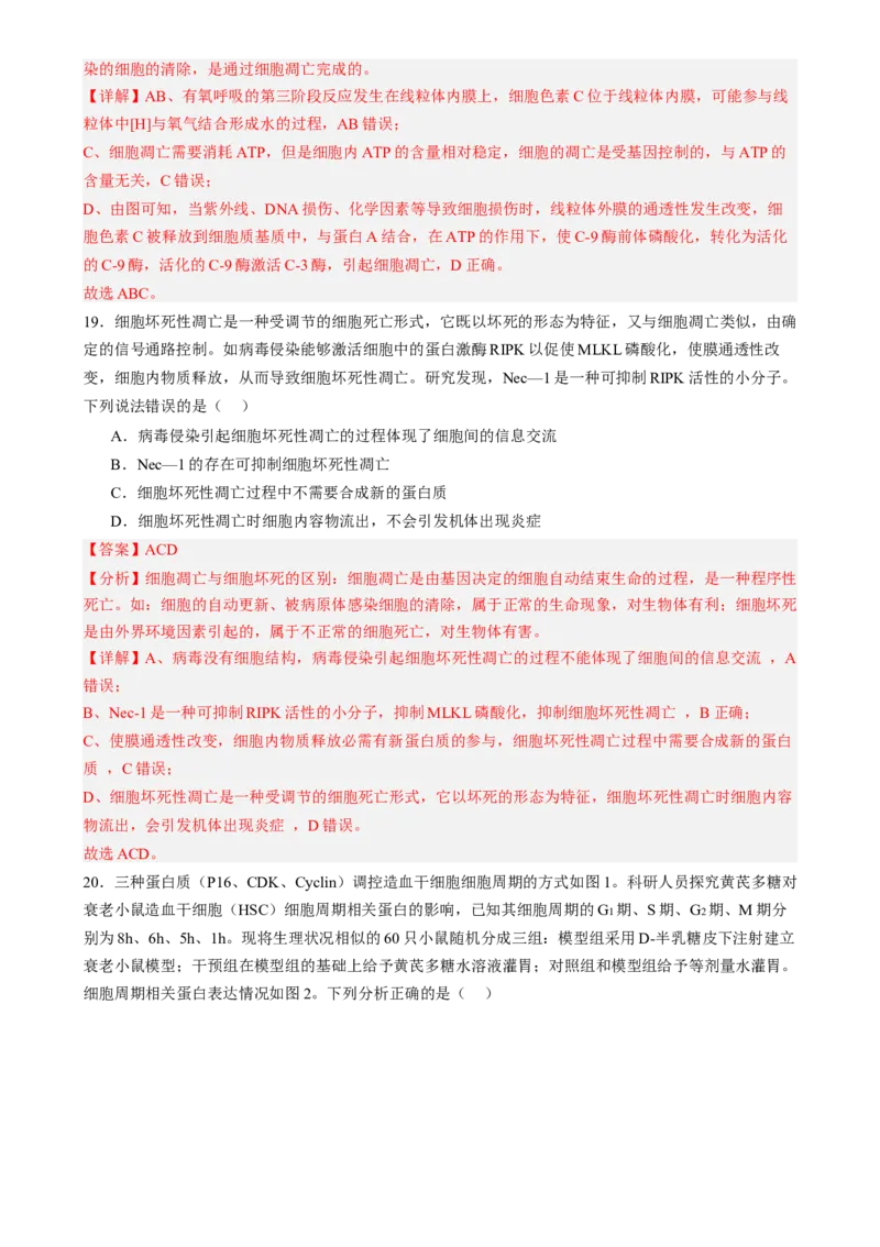 第四单元细胞的生命历程（测试）（解析版）_2025年新高考资料_一轮复习_2025年高考生物一轮复习讲练测（新教材新高考）