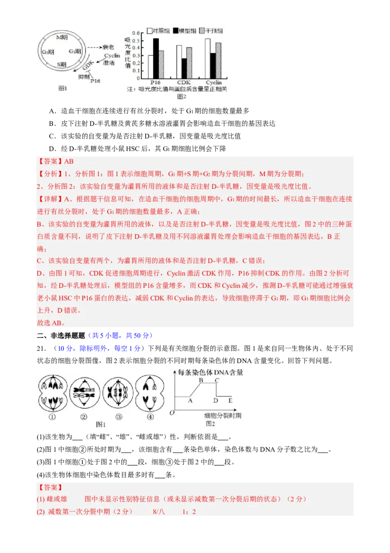 第四单元细胞的生命历程（测试）（解析版）_2025年新高考资料_一轮复习_2025年高考生物一轮复习讲练测（新教材新高考）