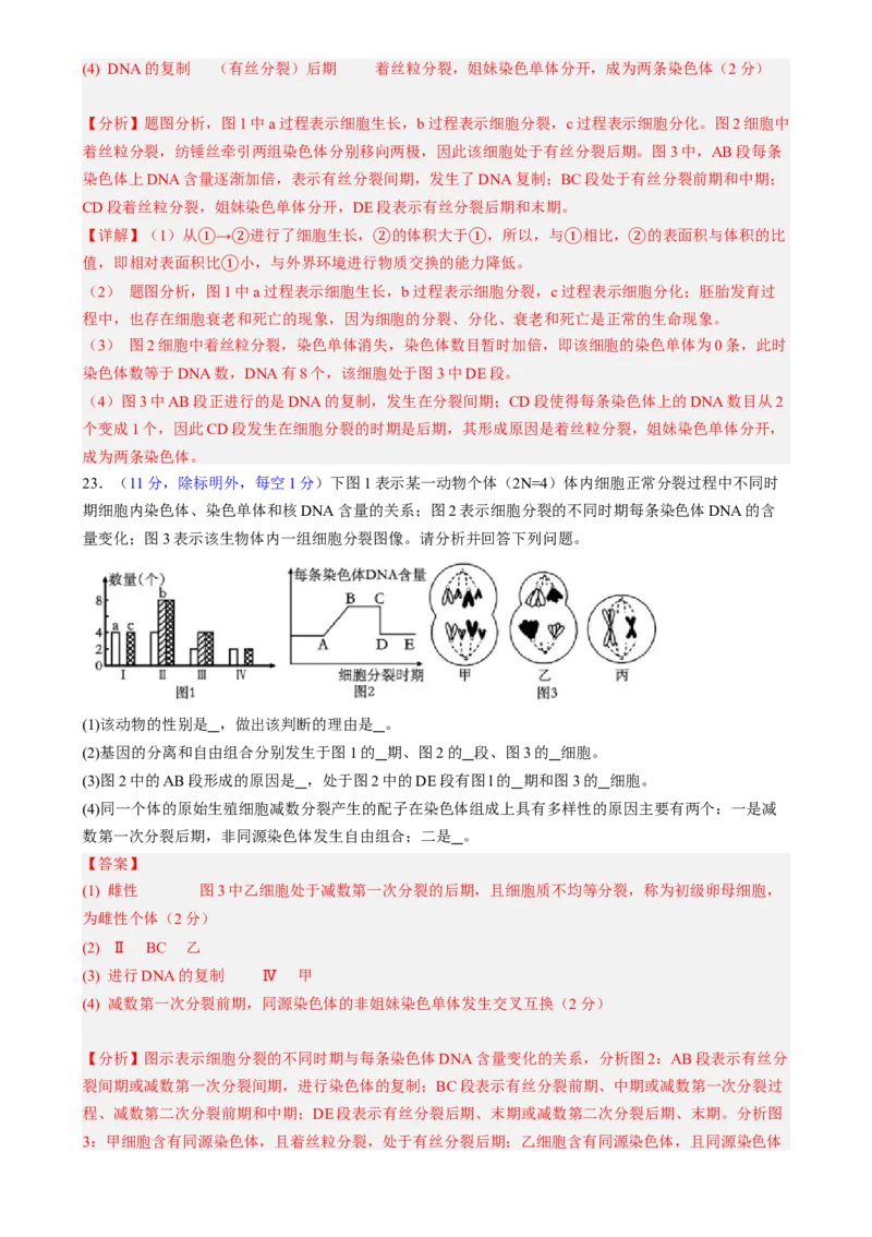 第四单元细胞的生命历程（测试）（解析版）_2025年新高考资料_一轮复习_2025年高考生物一轮复习讲练测（新教材新高考）