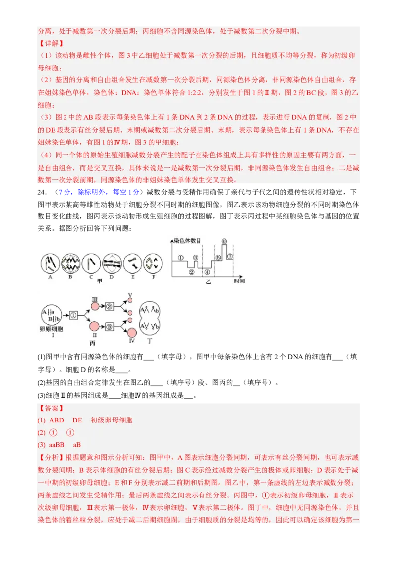第四单元细胞的生命历程（测试）（解析版）_2025年新高考资料_一轮复习_2025年高考生物一轮复习讲练测（新教材新高考）