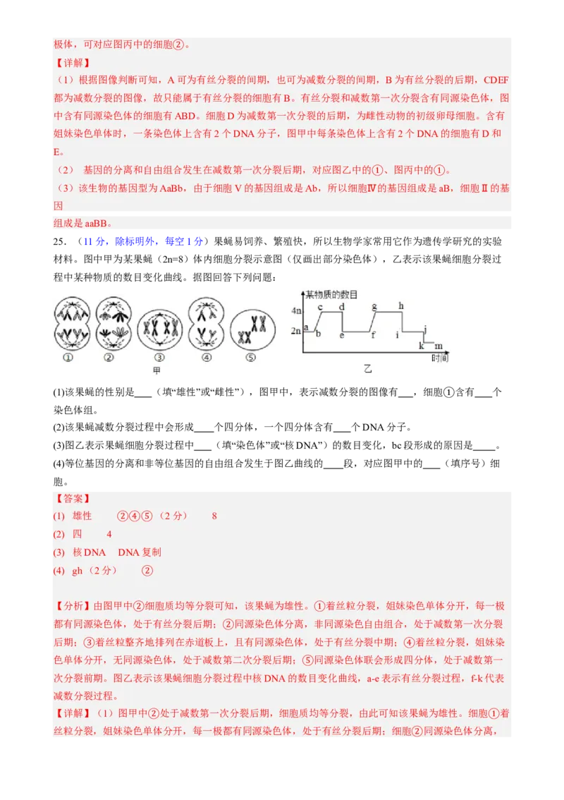 第四单元细胞的生命历程（测试）（解析版）_2025年新高考资料_一轮复习_2025年高考生物一轮复习讲练测（新教材新高考）