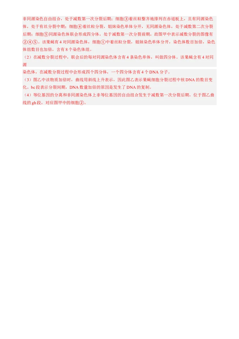 第四单元细胞的生命历程（测试）（解析版）_2025年新高考资料_一轮复习_2025年高考生物一轮复习讲练测（新教材新高考）