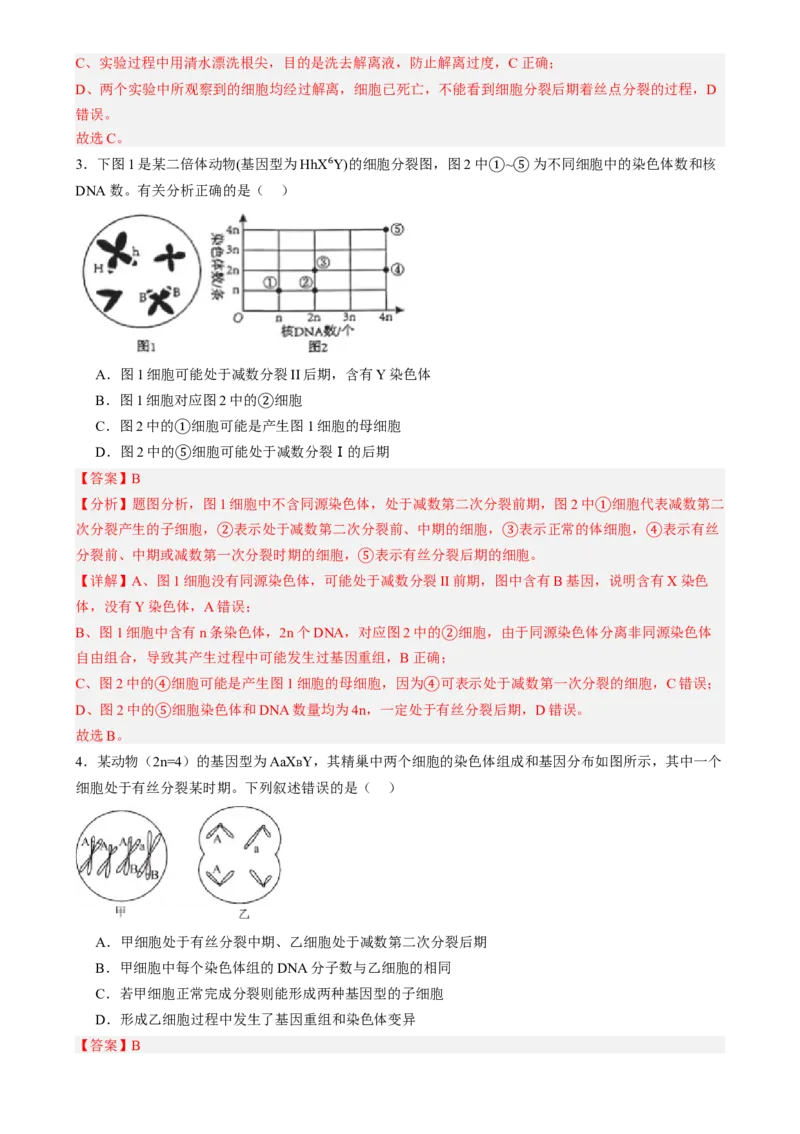 第四单元细胞的生命历程（测试）（解析版）_2025年新高考资料_一轮复习_2025年高考生物一轮复习讲练测（新教材新高考）