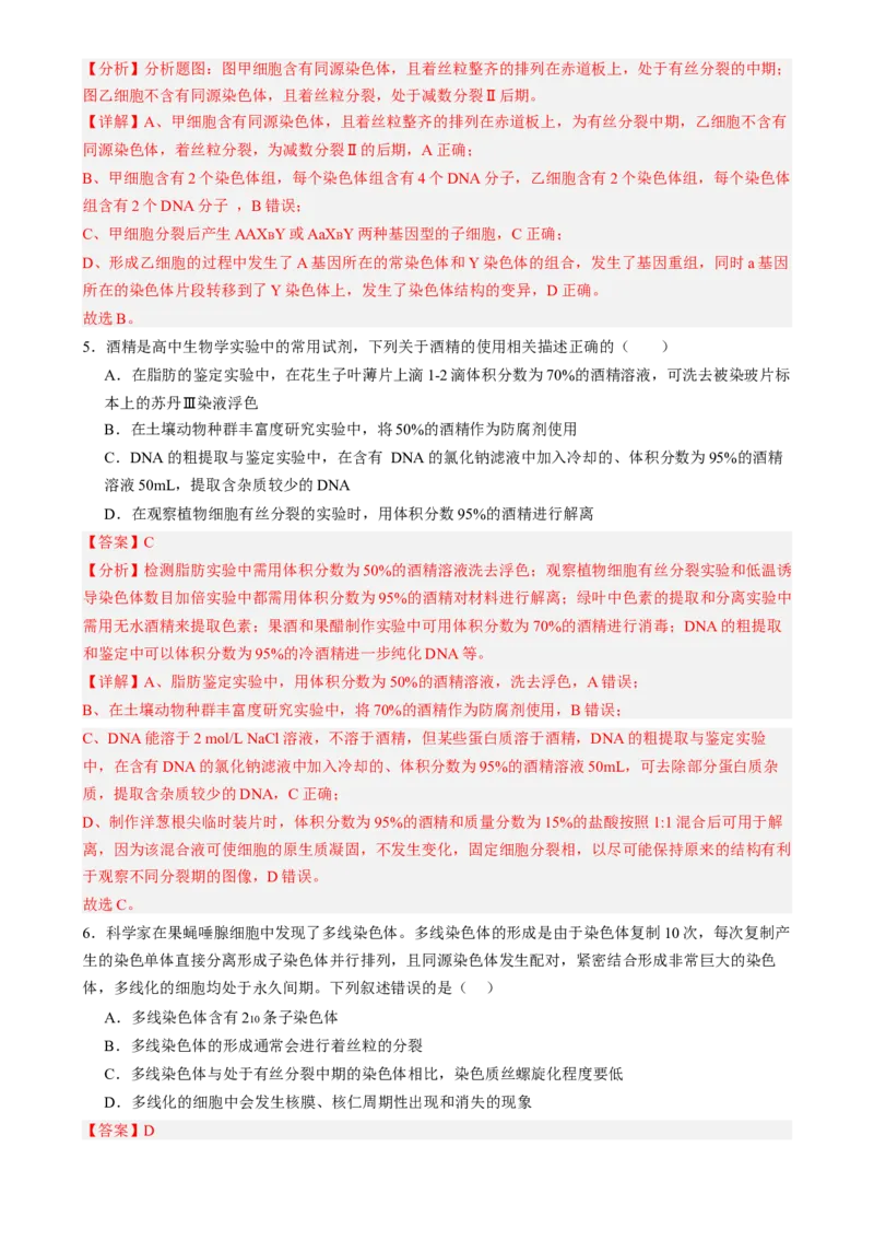 第四单元细胞的生命历程（测试）（解析版）_2025年新高考资料_一轮复习_2025年高考生物一轮复习讲练测（新教材新高考）