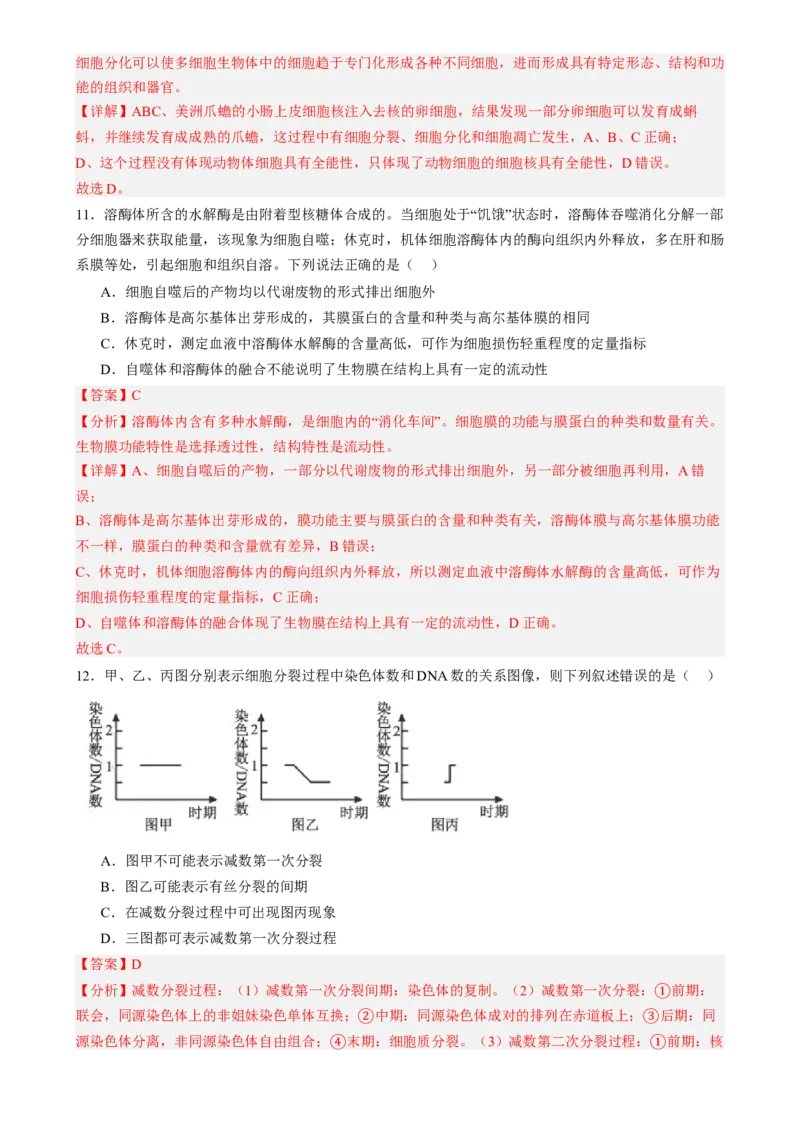 第四单元细胞的生命历程（测试）（解析版）_2025年新高考资料_一轮复习_2025年高考生物一轮复习讲练测（新教材新高考）